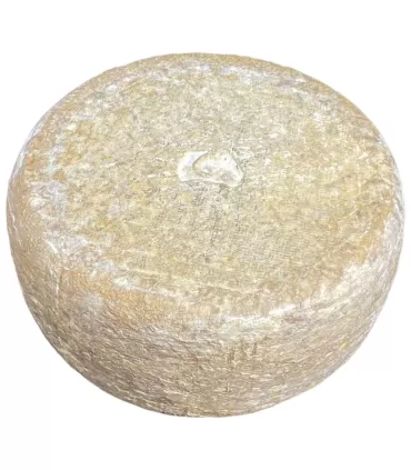 Tomme au lait de Brebis Fromage Osso Iraty.