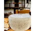 Tomme de brebis Ossau-Iraty Tradition AOP — pâte pressée non cuite Pays Basque