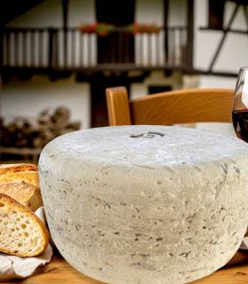 Tomme de brebis Ossau-Iraty Tradition AOP — pâte pressée non cuite Pays Basque