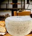 Tomme de brebis Ossau-Iraty Tradition AOP — pâte pressée non cuite Pays Basque