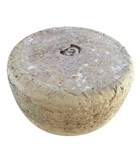 Tomme entière Ossau-Iraty Tradition AOP — affinage 40 semaines Secrets d'Affineurs
