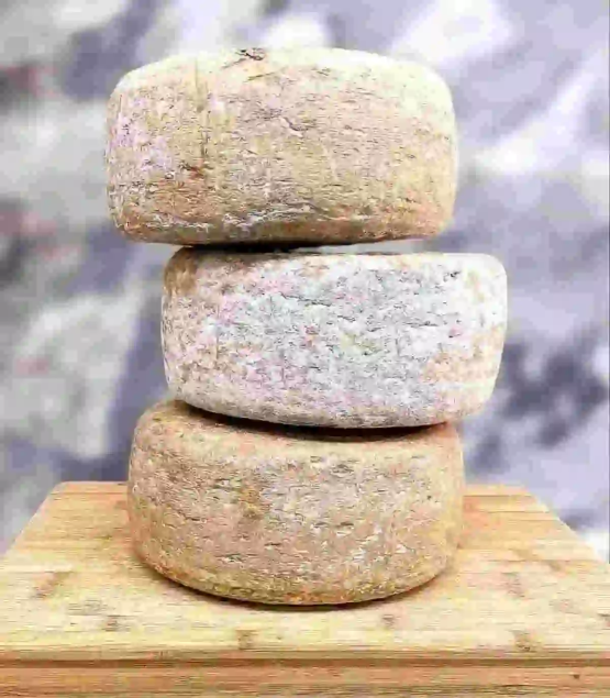 Fromage tommes de Brebis Vieille Réserve Affinage des Pyrénées