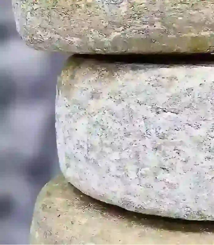 Tomme Broucaou chèvre brebis Pyrénées — affinage 60 semaines vieille réserve