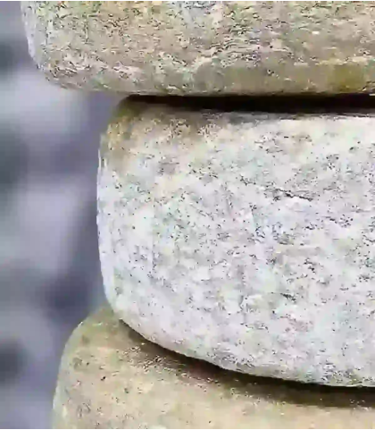 Tomme Broucaou chèvre brebis Pyrénées — affinage 60 semaines vieille réserve