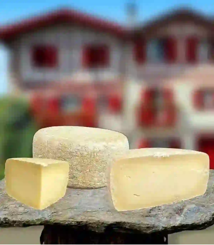 Fromage de brebis Ossau-Iraty AOP sélection — tomme entière affinage 10 mois