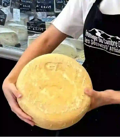 Tomme Ossau-Iraty AOP fermier au lait cru — Fermiers Basco-Béarnais La Sélection