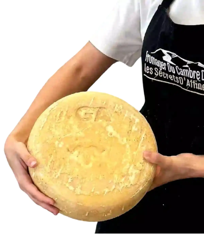 Fromage Ossau-Iraty AOP fermier au lait cru — Fermiers Basco-Béarnais La Sélection