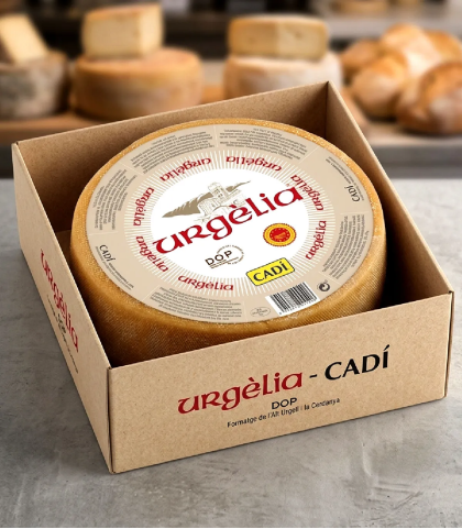Tomme Catalane Urgèlia AOP — Fromage de Vache des Pyrénées – Cadi