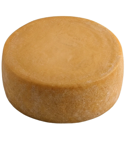 Tomme Catalane Urgèlia AOP — Fromage de Vache des Pyrénées – pièce entière – Cadi