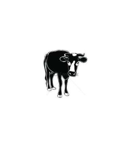 Fromage Vache